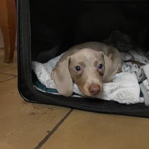 Ayko - @Nürnberg - bei der Abholung