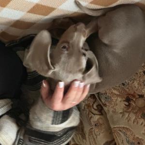 Ayko - @home - auf dem Sofa