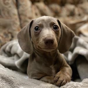 Ayko - @home5 - Schnappschuss