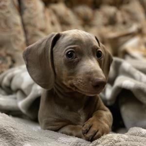 Ayko - @home6 - Schnappschuss