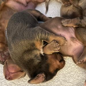 Ayko - mal ganz unten 1 - 21.10.2023.