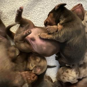 Ayko - mal ganz unten 2 - 21.10.2023.