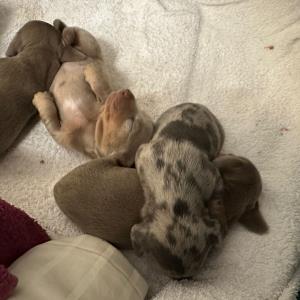 Ayko - unten drunter