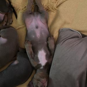 Ayko auf dem Rücken