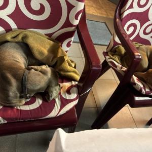 Ayko und Turbo - im Partyhaus auf den Stühlen