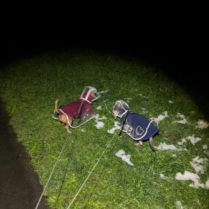 Ayko und Turbo - in Regenmänteln