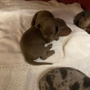 Ayko und seine Schwester