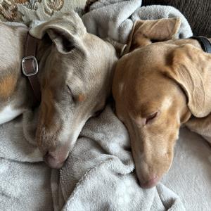 Turbo & Ayko - finden langsam zusammen