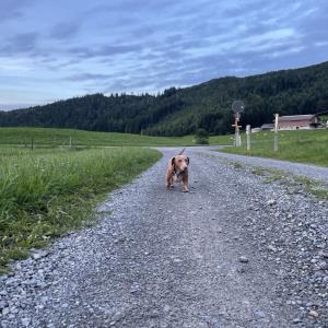 Turbo - Freilauf Dürrenboden unser Hausberg
