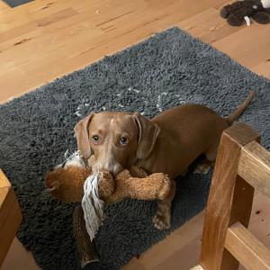 Turbo - aufforderung zum spielen