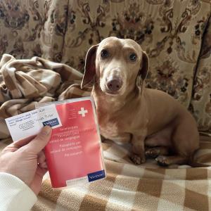 Turbo - eingebürgert