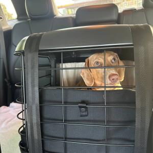 Turbo - im Auto im neuen Transportgehäuse