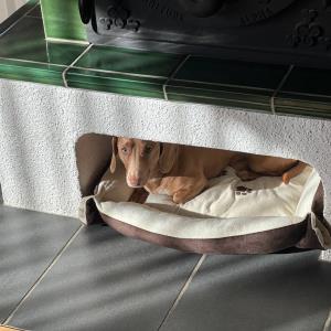 Turbo - unter dem Kachelofen