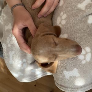 Turbo - wenn man von der Arbeit nach Hause kommt