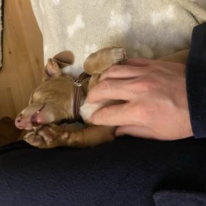 Turbo an meiner Seite