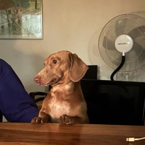 Turbo bei den Grossen am Mitdiskutieren