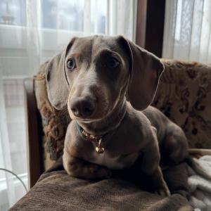 ayko - am überwachen