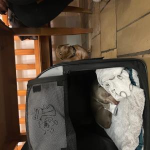 ayko und turbo - erstes mal