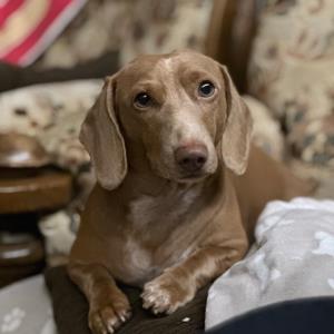 turbo am überwachen