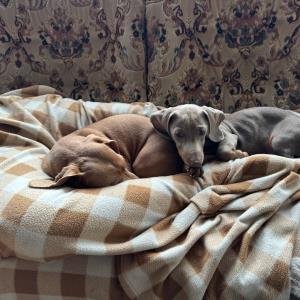 turbo und ayko - schlafen