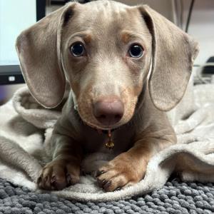 und mir bei der arbeit gesellschaft leisten